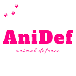 ANIDEF